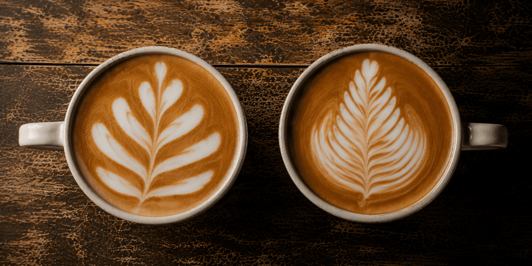 Side by side latte art phoenix tail comparison — fan too wide and sparse vs tight dense feathers