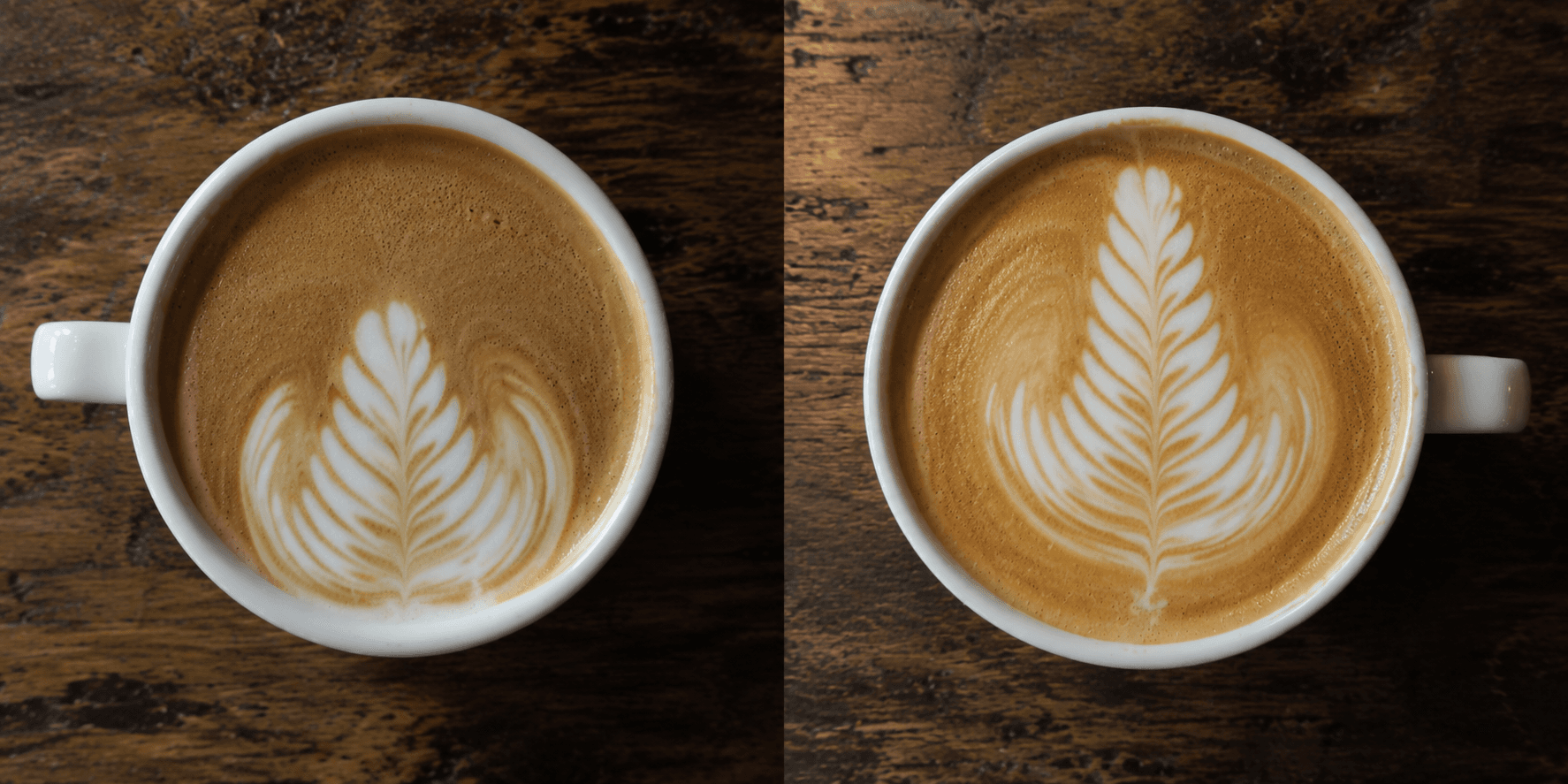 Side by side latte art rosetta comparison — wrong start position vs correct start position