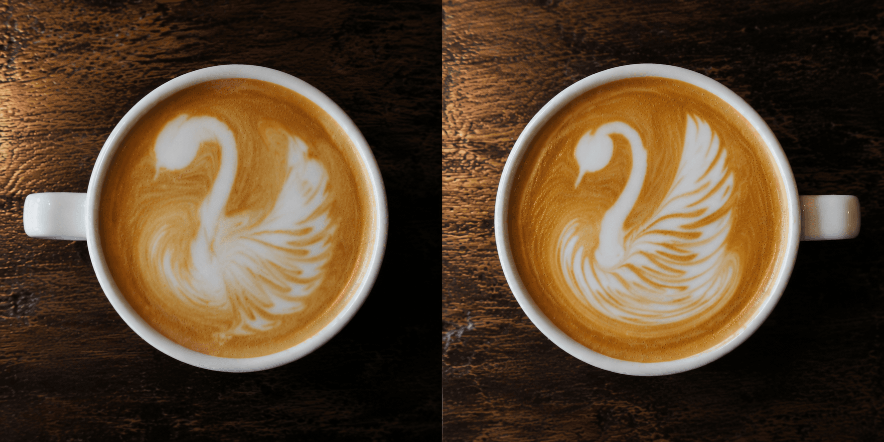 Side by side latte art swan comparison — weak undefined body vs strong rosetta-style body