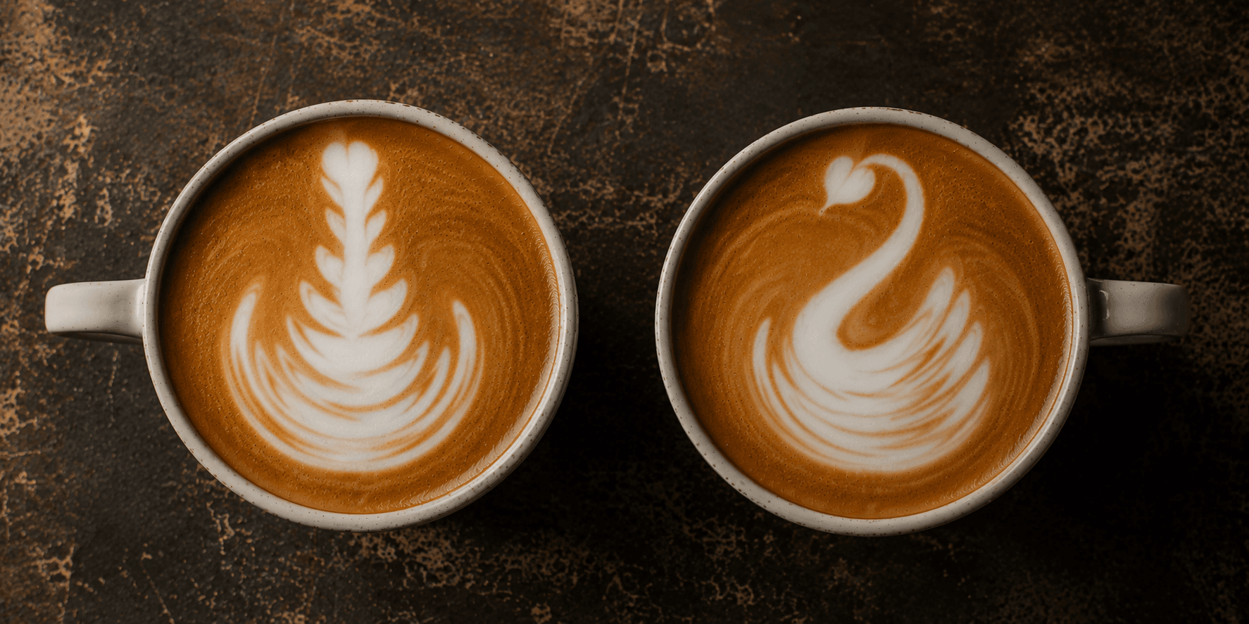 Side by side latte art swan comparison — straight stiff neck vs clean elegant curve
